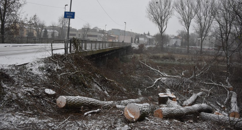 Wycięte drzewa początkiem remontu mostu na ul. Mostowej? (foto)