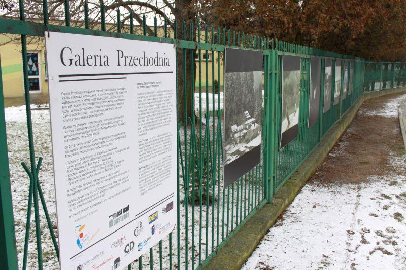 Na Przedmieściu można oglądać galerię uliczną