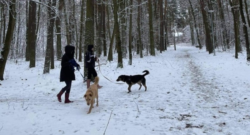 Schronisko dla Zwierząt w Łowiczu poszukuje wolontariuszy!