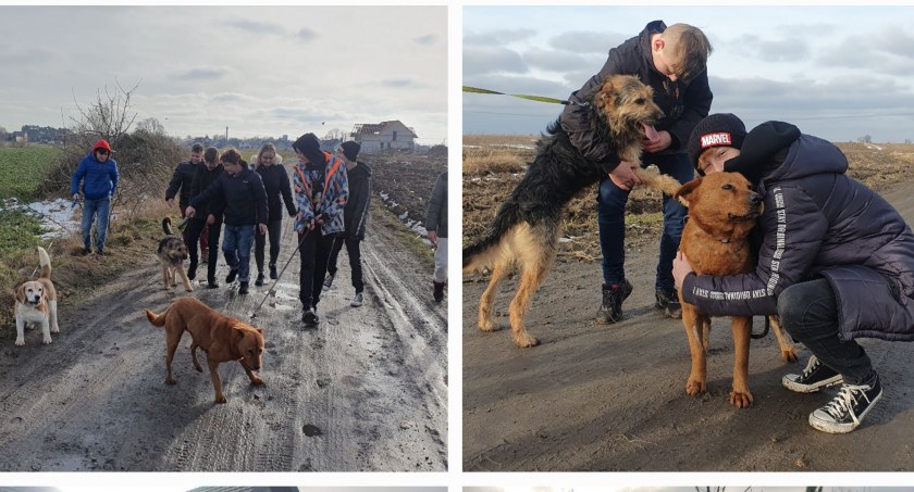  Miłość ma cztery łapy, czyli spotkanie z bezdomnymi psiakami (foto)