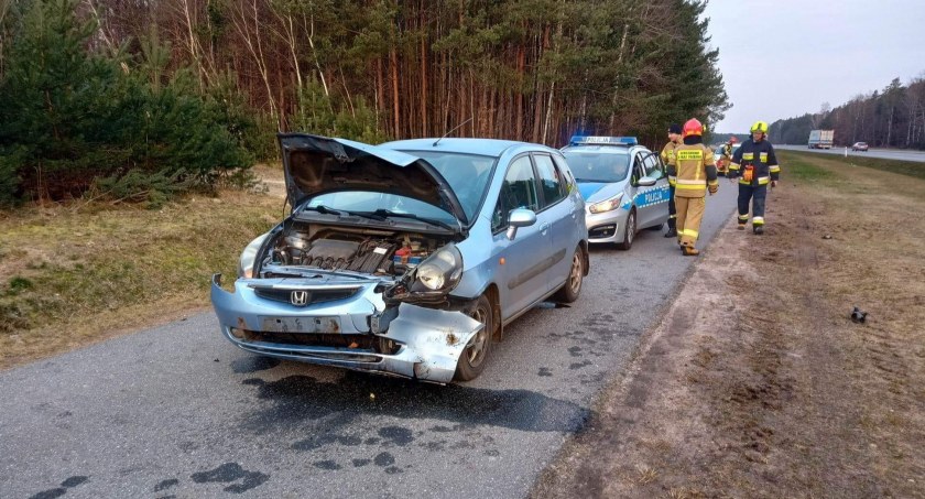 Gmina Nieborów. Samochód zderzył się z dzikiem