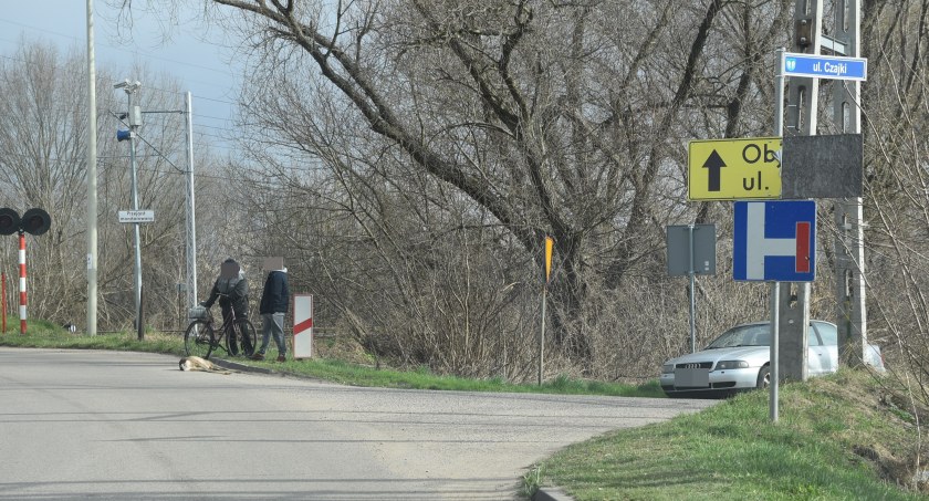 Kolizja z sarną na terenie Łowicza