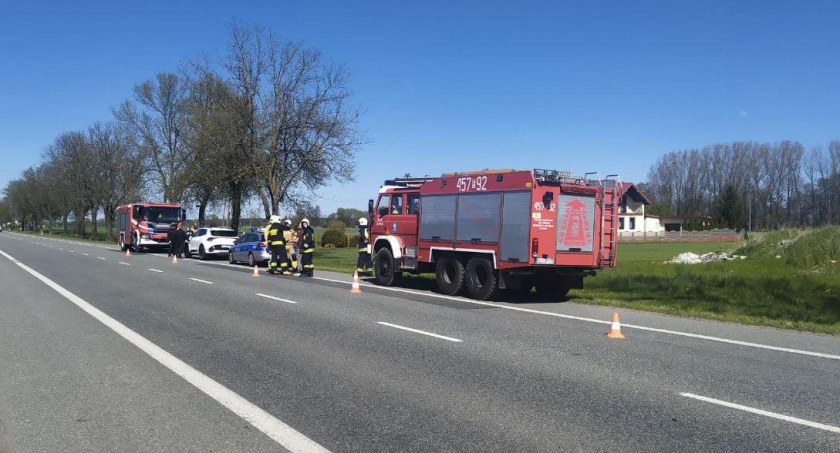 Zderzenie samochodu osobowego z sarną na DK14 w Jamnie
