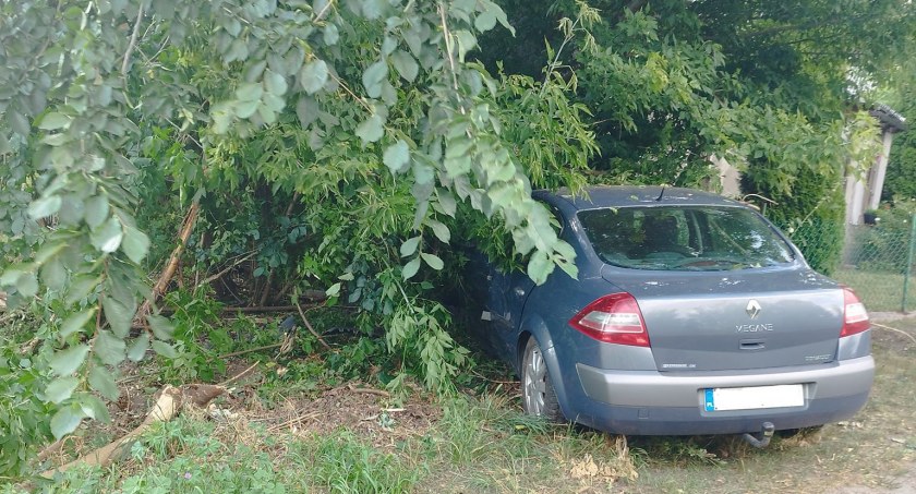 Był tak pijany, że swoją podróż zakończył w przydrożnych krzakach!