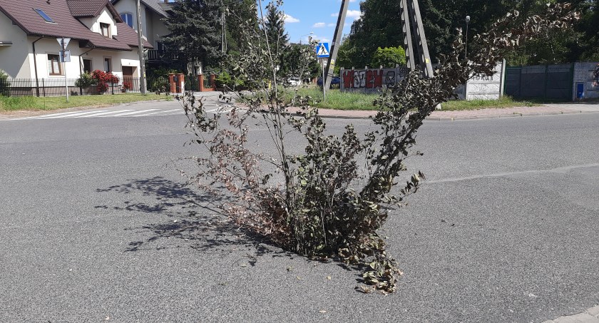 Dziura w jezdni na Korabce. Zarwał się kanał sanitarny