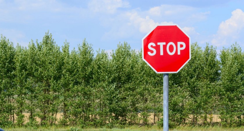 Mieszkanka Warszawy zignorowała znak STOP i doprowadziła do kolizji