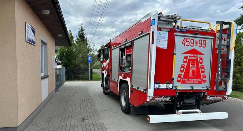 Owady błonkoskrzydłe w Domu Ludowym. Interweniowała straż