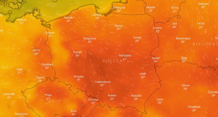 Alerty drugiego stopnia przed upałami!