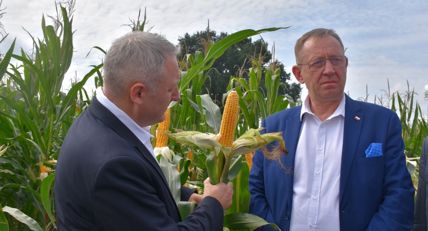 Robert Telus na III Dniu Kukurydzy w Zduńskiej Dąbrowie (foto,film)