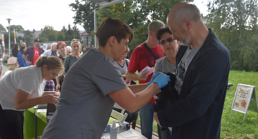 Łowicz. Trwa bezpłatne czipowanie psów i kotów właścicielskich (foto,film)
