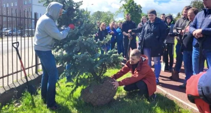 Wkrótce zazielenią się kolejne tereny przy łowickich podstawówkach