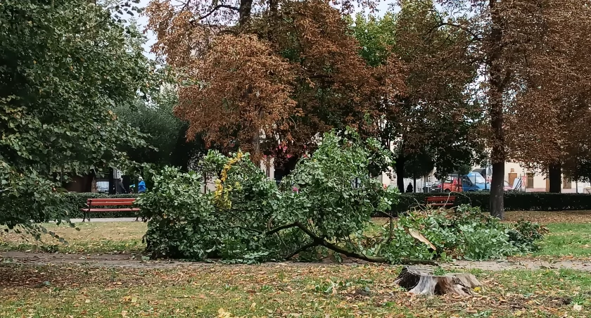 Burze i wichury przeszły nad powiatem łowickim. Są połamane konary drzew i zerwany dach (foto,film)