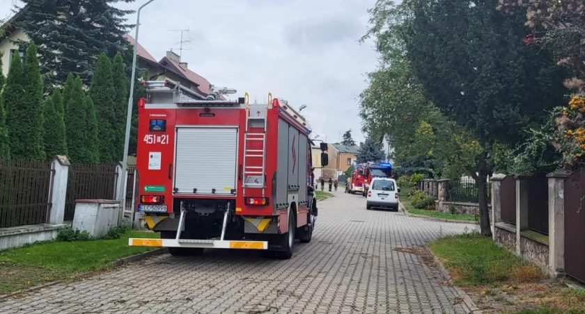 Strażacy wciąż usuwają skutki burzy, która przeszła nad Łowiczem (foto, film)