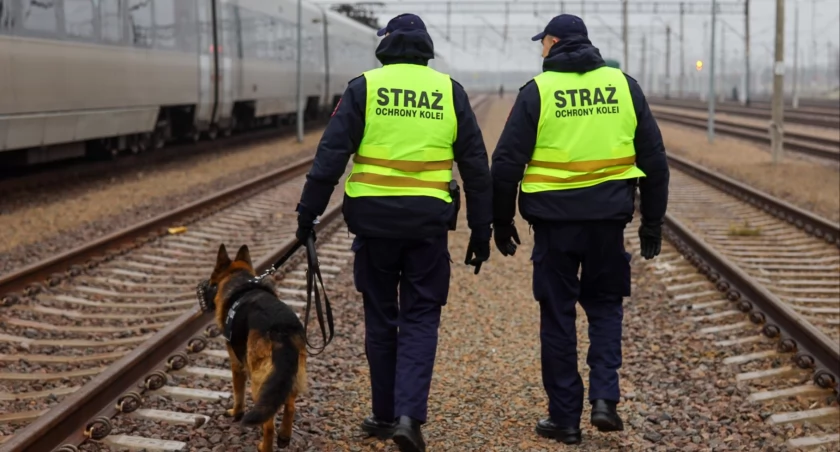 Nietrzeźwy pracownik ochrony pilnował składu PKP Intercity! Był nim mieszkaniec łowickiej gminy! 