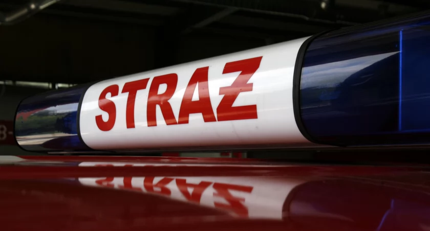 Łowicz i okolice. Wtorkowe interwencje straży pożarnej