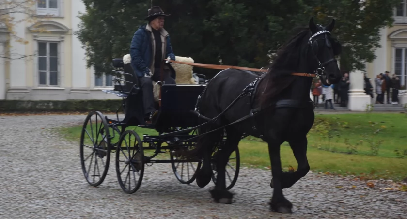 Walewice. Hubertus, czyli pogoń za lisem (foto,film)