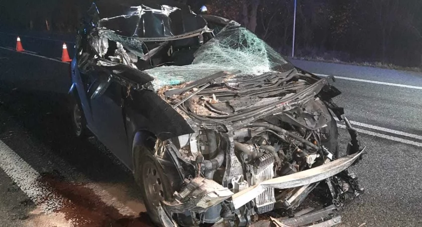Zderzenie audi z kombajnem na DK92 w Niedźwiadzie