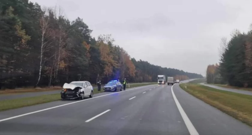 Gmina Nieborów. Zderzenie auta osobowego z łosiem
