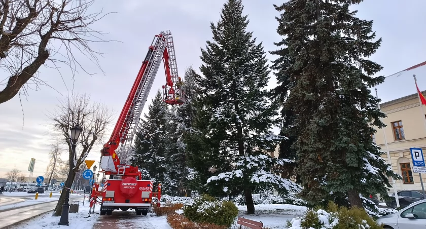 Choinki przy Starostwie rozbłysną kolorowymi lampkami (foto)