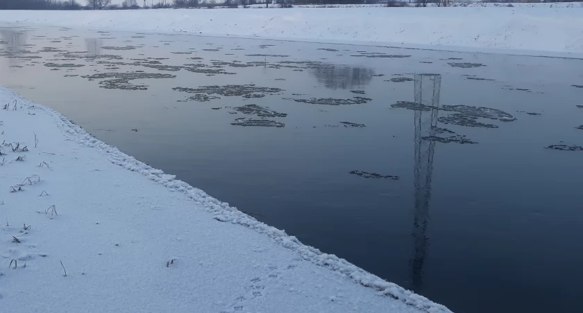 Łyszkowice. Strażacy wezwani do łabędzia