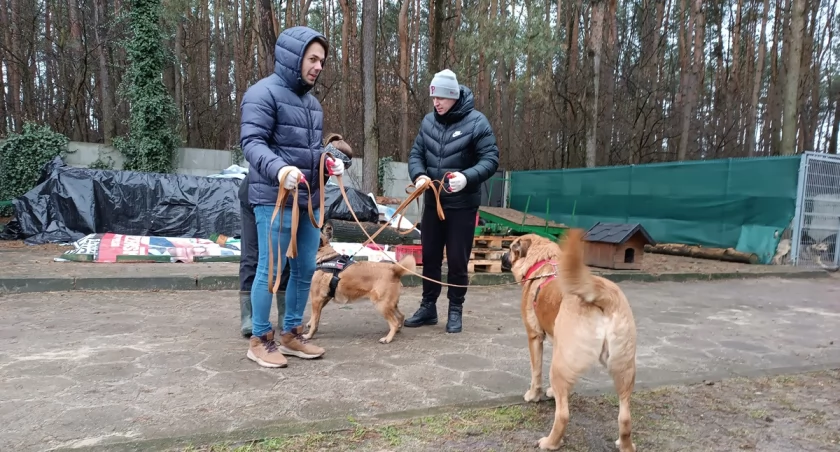 Członkowie Łączy nas Łowicz odwiedzili łowickie schronisko (foto)