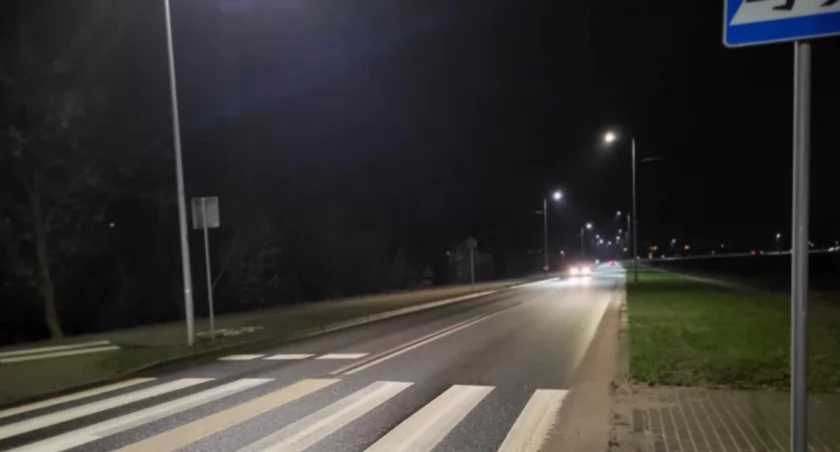 Kolizja z sarną w Łyszkowicach. Zwierzę niestety nie przeżyło