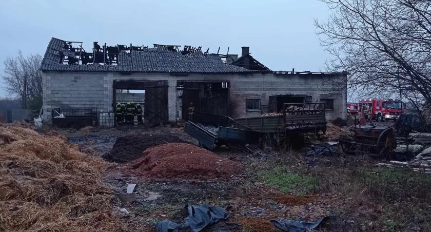 Chąśno. Nocny pożar budynku inwentarsko-składowego, ewakuowano zwierzęta