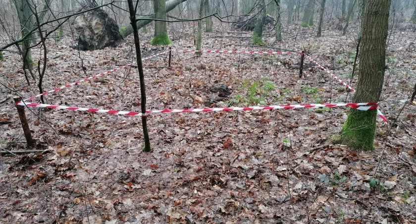 Łowicz. W Lasku Miejskim znaleziono niewybuch, policja zabezpiecza teren (foto)