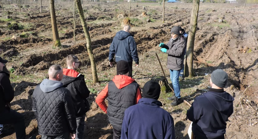 Więźniowie z Zakładu Karnego w Łowiczu zasadzili nowy las (foto)