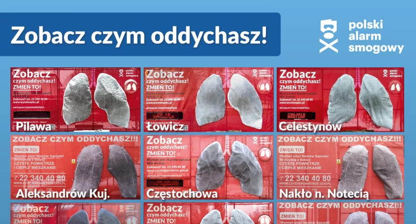 Mobilne płuca pokazały czym oddychaliśmy tej zimy!