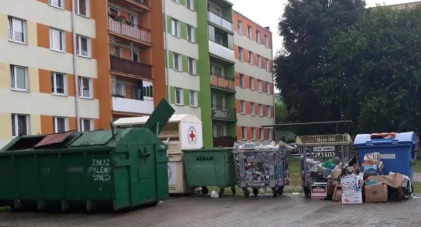 Łowicz. Stawka za gospodarowanie odpadami komunalnymi nie zmienia się