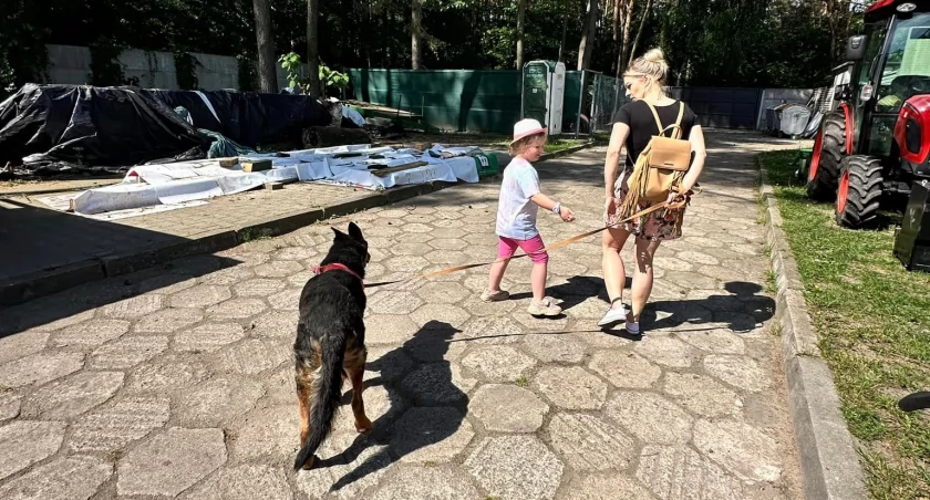 Członkowie Łączy nas Łowicz ponownie odwiedzili łowickie schronisko (foto)