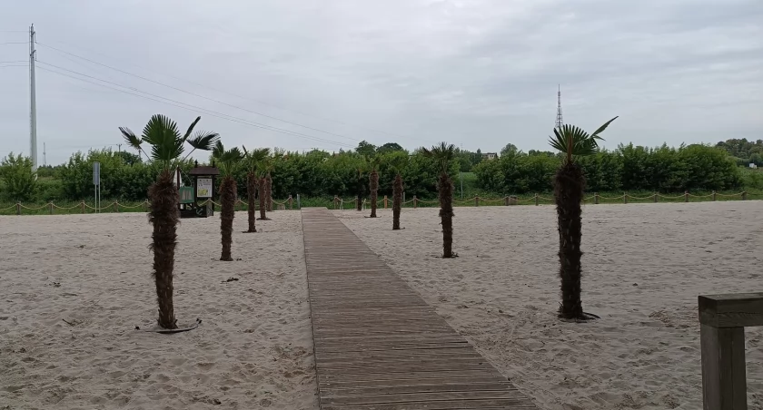 Łowicz. Pożar na plaży nad Bzurą (foto)