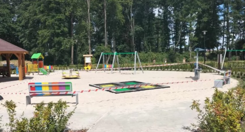 Tylko do południa trzy wezwania strażaków do usunięcia os