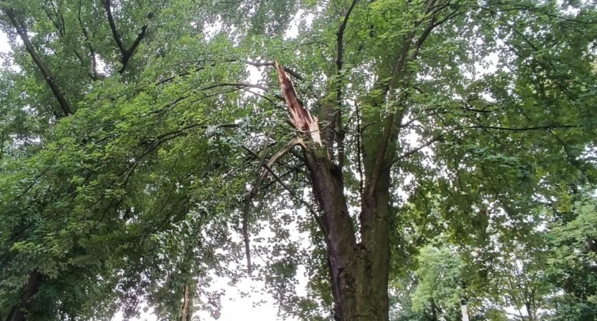 Niebezpieczne burze przeszły nad powiatem łowickim. Są połamane konary drzew i zerwany dach (foto)