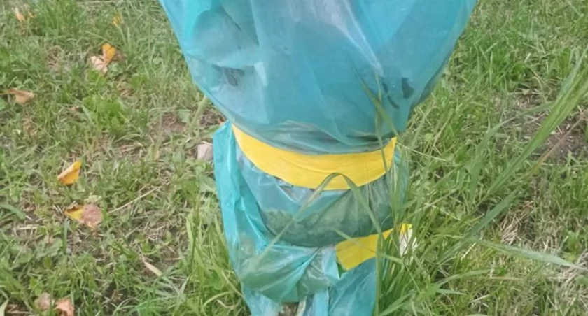 Domaniewice. Czy zniknie problem uszkodzonego hydrantu?