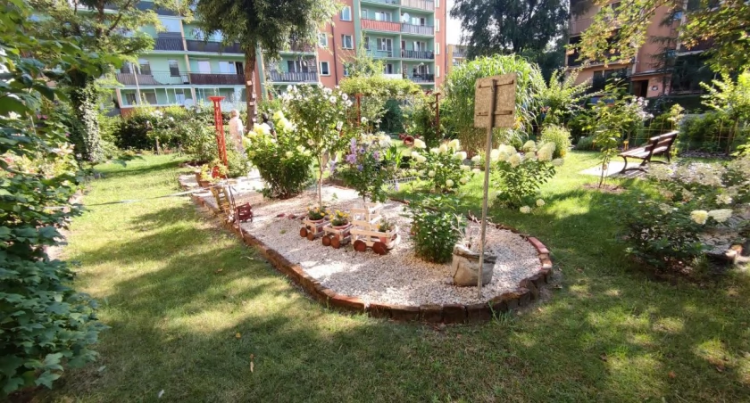 Który z ogródków na osiedlach ŁSM okaże się najładniejszy? (foto)