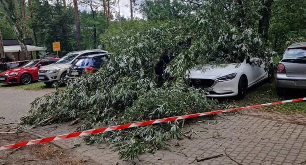 Strażacy podsumowali trudny weekend. Wichury i tragiczne zdarzenia w regionie