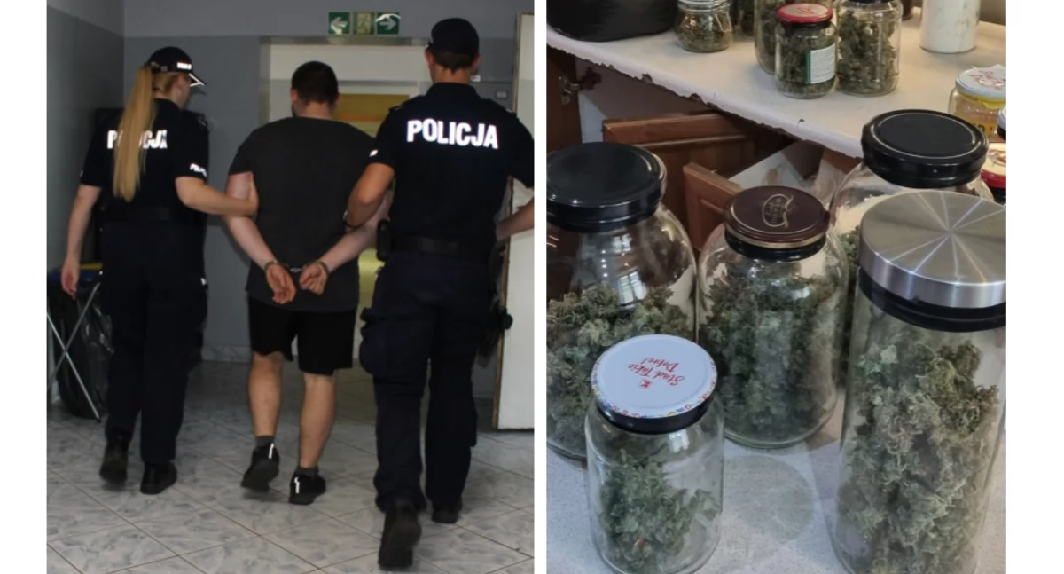 Duża akcja łowickich policjantów! Uderzyli w przestępczość narkotykową! (foto, film)