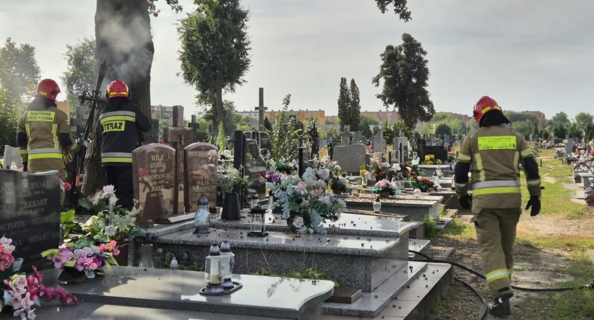 Paliło się drzewo na cmentarzu (foto, film)