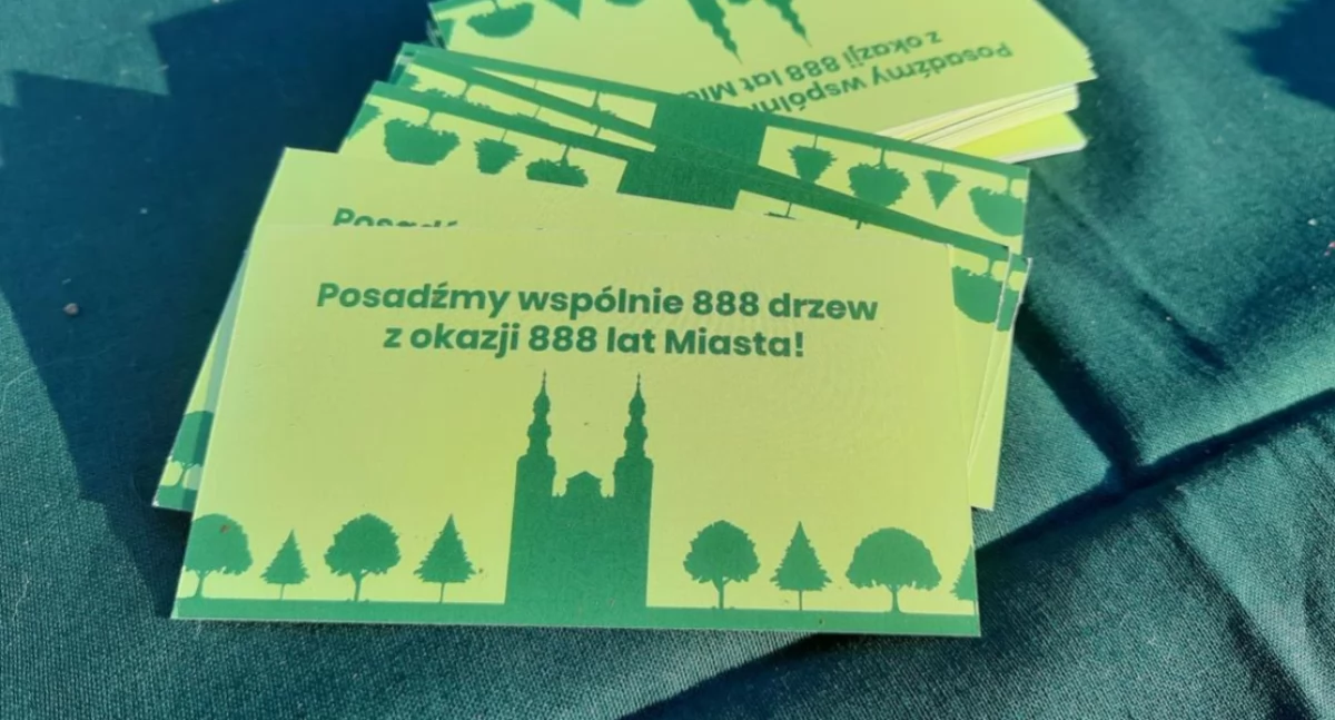 888 drzew dla Łowicza. Czy będą środki na jesienne nasadzenia?