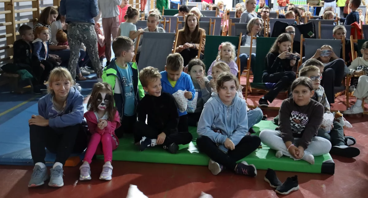 Kino letnie na łowickich Bratkowicach (foto)