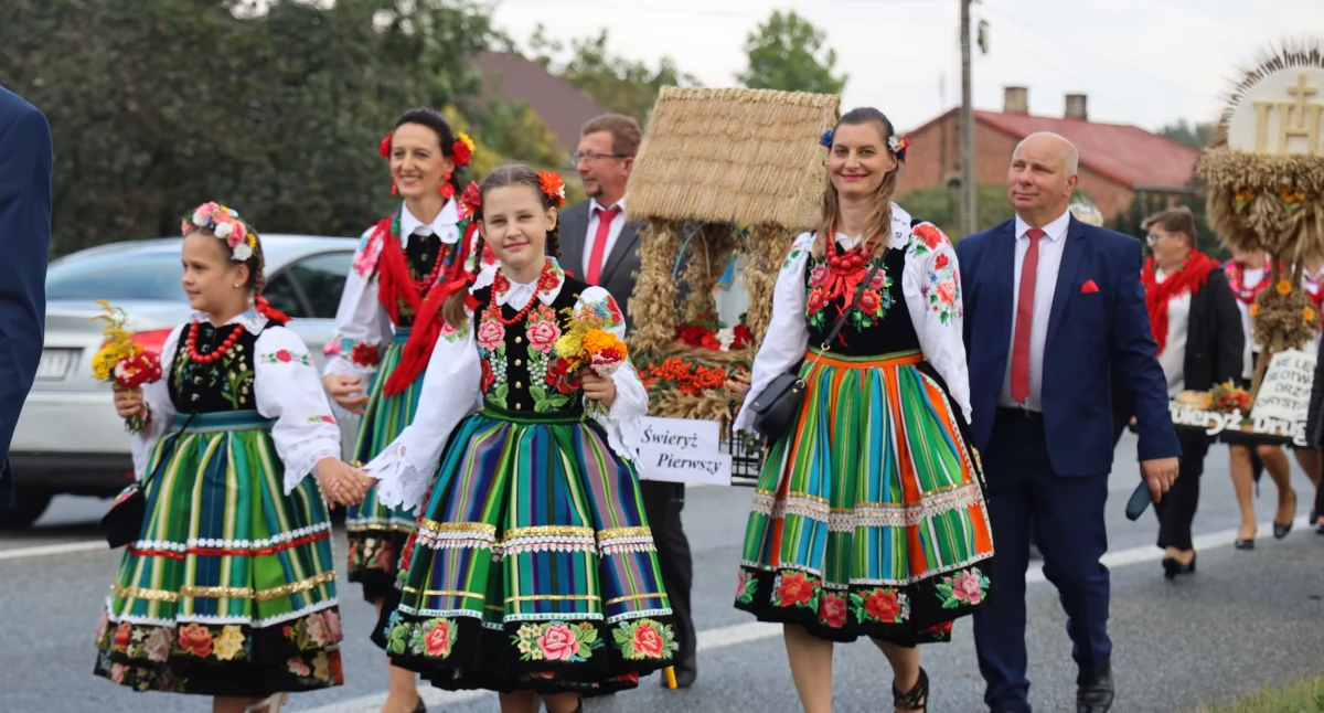 Dożynki gminne w Jamnie. Gmina Łowicz dziękuje za plony (foto, film)