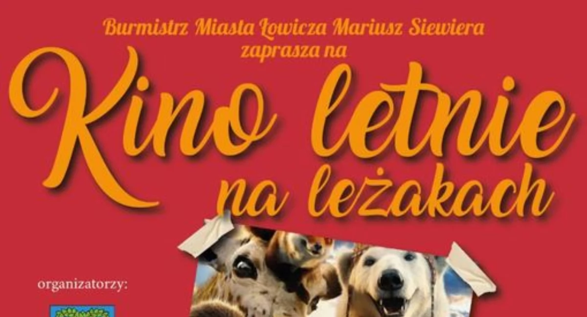 Kino letnie na leżakach na Zatorzu