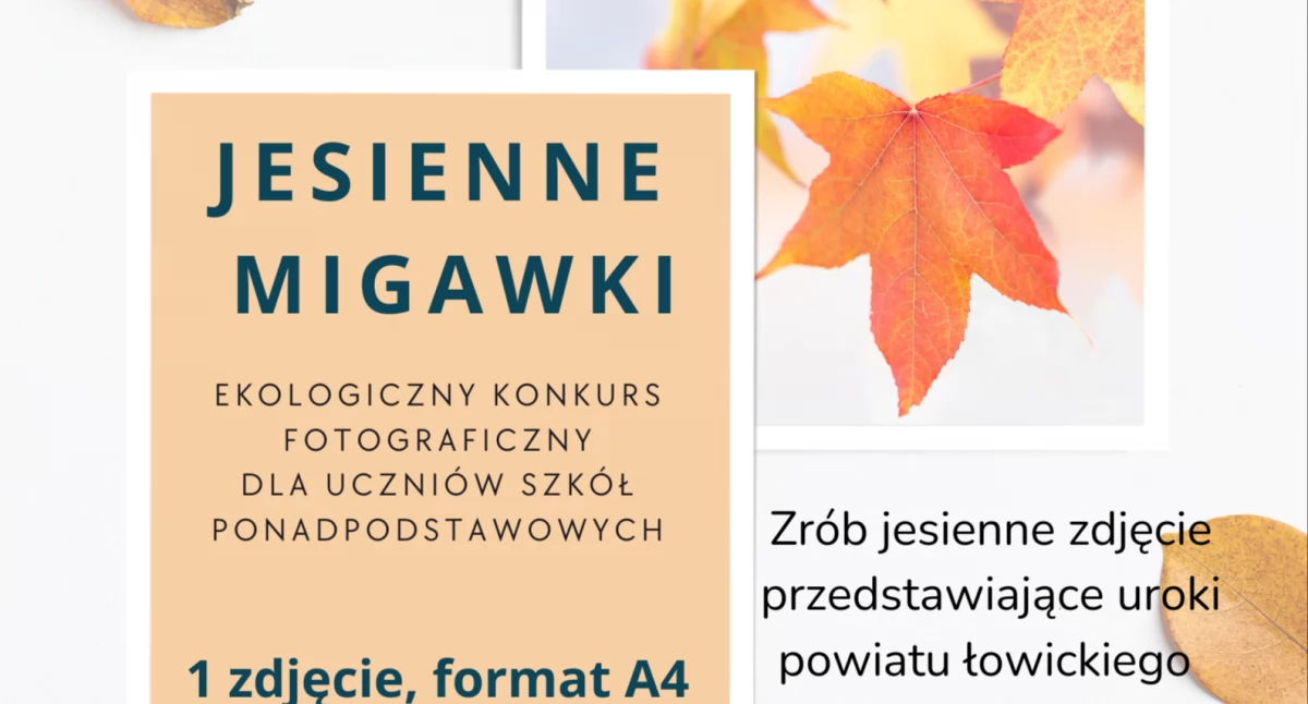 „Jesienne migawki”. Biblioteka zaprasza do udziału w konkursie fotograficznym