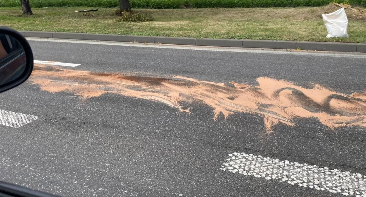 Zanieczyścił olejem jezdnię i uszkodził znak 