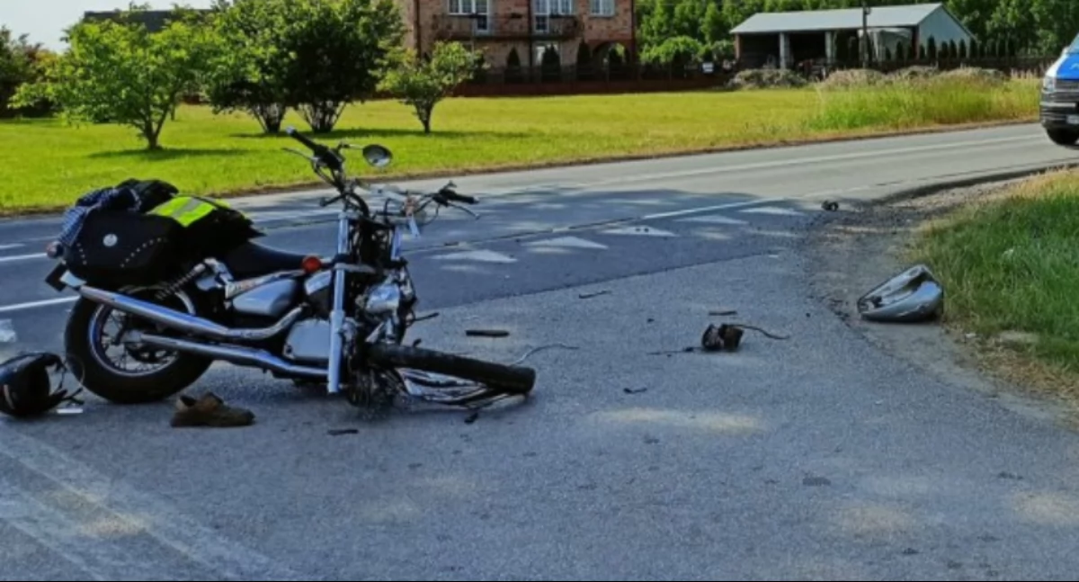 Gmina Kiernozia. Kolizja motocykla z psem 