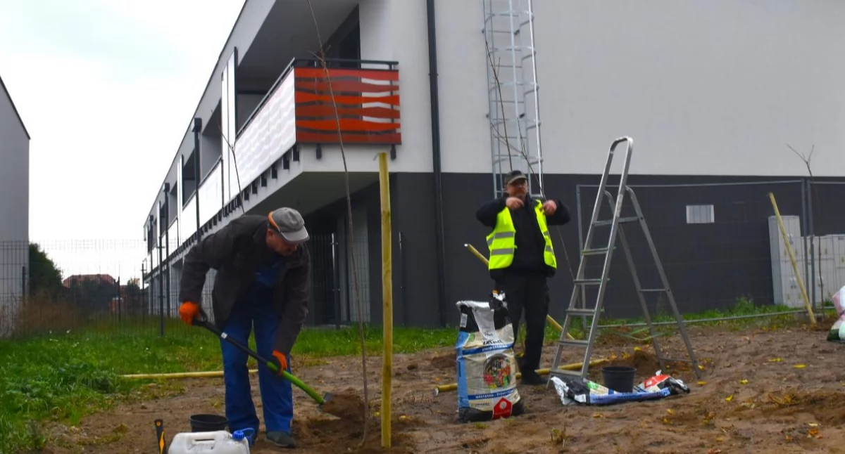 Dzięki fundacji Prolas zazieleni się na Bratkowicach (foto)