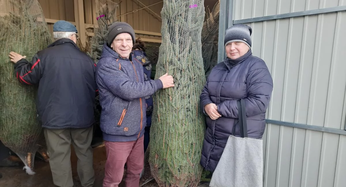 „Choinka za makulaturę” wraca do Nieborowa. Szczegóły akcji