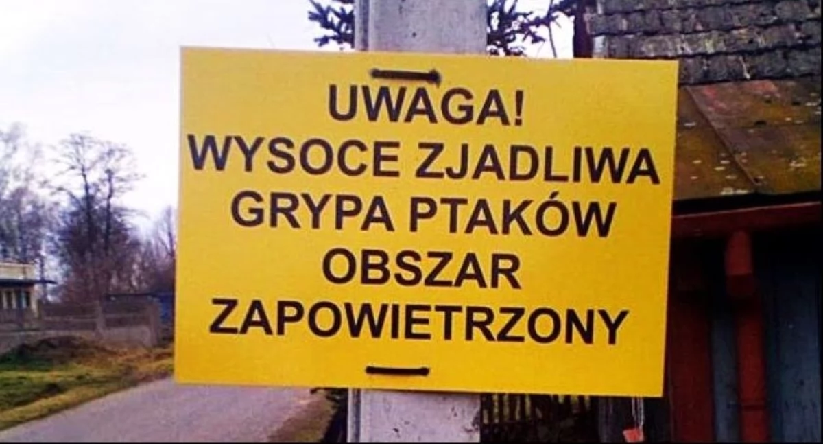Powiatowy lekarz weterynarii w Łowiczu apeluje do urzędników oraz hodowców drobiu